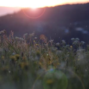 妲己土豪18分钟视频在线播放
