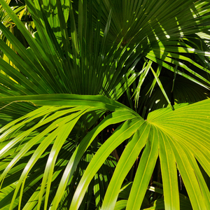 妲己土豪18分钟视频在线播放
